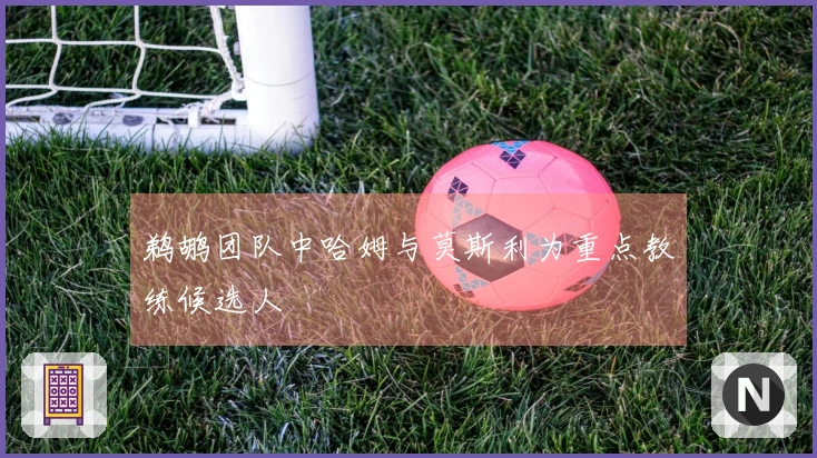 鹈鹕团队中哈姆与莫斯利为重点教练候选人