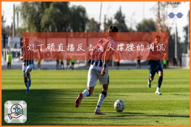 刘丁硕直播反击高人撑腰的调侃