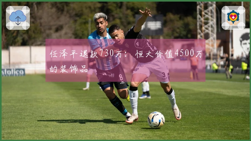 任泽平退款730万：恒大价值4500万的装饰品