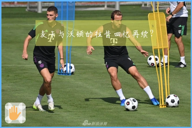 麦卡与沃顿的往昔回忆再续？